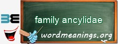 WordMeaning blackboard for family ancylidae